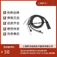 进口B.HEPWORTH 80200400清洗管